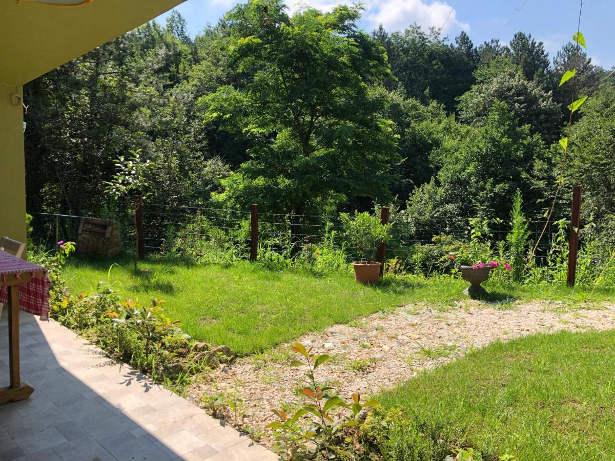 Happyhobbit Forest, Lake View, Fireplace , Jakuzi ,In ספנג'ה מראה חיצוני תמונה